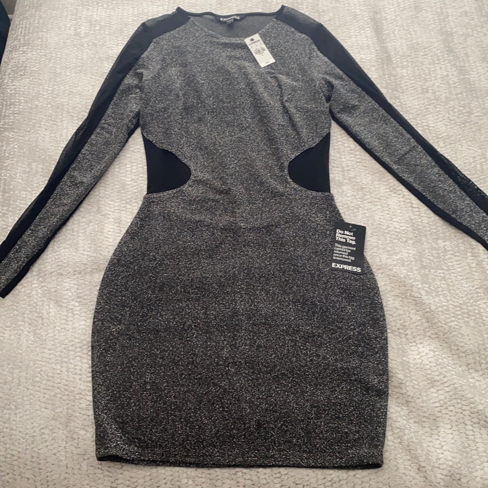 NWT EXPRESS Metallic Mesh-Back Mesh-Cutout Dress